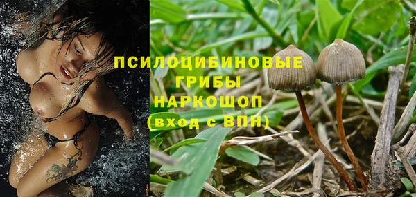 экстази Белокуриха