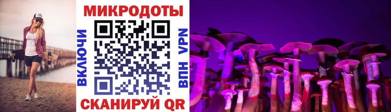 Купить закладки  Давлеканово  Псилоцибиновые грибы GOLDEN TEACHER 